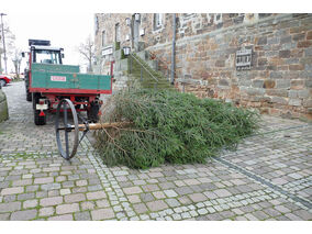Es weihnachtet in St. Crescentius (© Karl-Franz Thiede)
